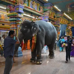 Manakula Vinayagar Temple - Pondicherry