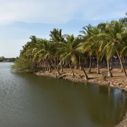 Paradise Beach - Pondicherry