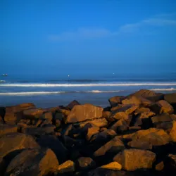 Pondicherry Museum - Pondicherry