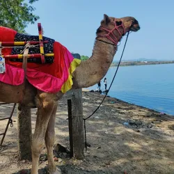 Khadakwasla Dam - Pune