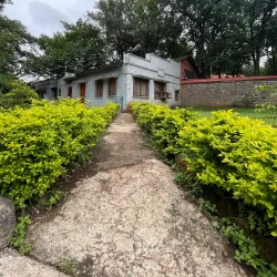 Pataleshwar Cave Temple - Pune
