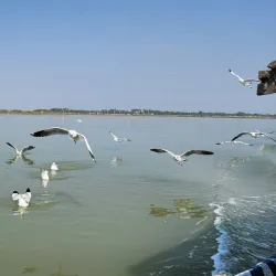 Chilika Lake - Puri