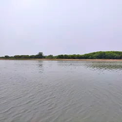 Chilika Lake - Puri