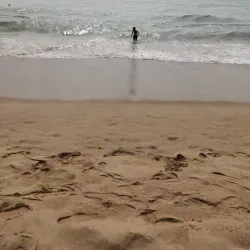 Gundicha Temple - Puri