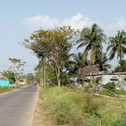 Pipili Village - Puri