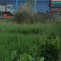 Pipili Village - Puri