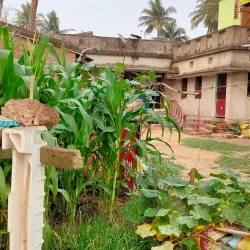 Pipili Village - Puri