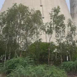 Tungabhadra River - Raichur
