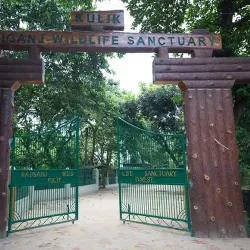 Raiganj Wildlife Sanctuary (Kali Mandir Bird Sanctuary) - Raiganj