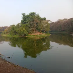 Raiganj Wildlife Sanctuary (Kali Mandir Bird Sanctuary) - Raiganj