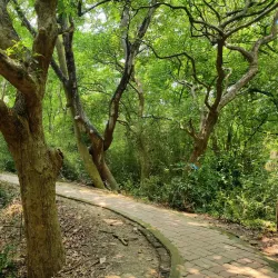 Raiganj Wildlife Sanctuary (Kali Mandir Bird Sanctuary) - Raiganj