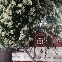 Doodhadhari Monastery and Temple - Raipur