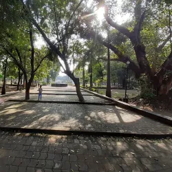 Gandhi Udyan - Raipur
