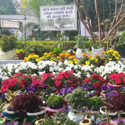 Gandhi Udyan - Raipur