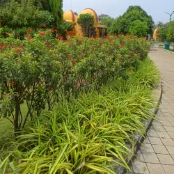 Rajiv Smriti Van and Urja Park - Raipur