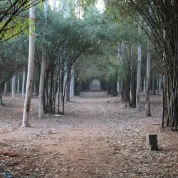 Godavari Pushkaralu Festival - Rajahmundry