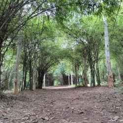 Godavari Pushkaralu Festival - Rajahmundry
