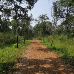 Godavari Pushkaralu Festival - Rajahmundry