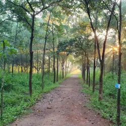 Godavari Pushkaralu Festival - Rajahmundry