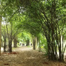 Godavari Pushkaralu Festival - Rajahmundry