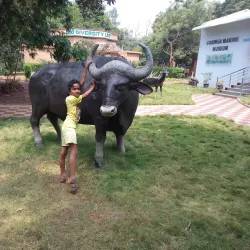 Godavari Pushkaralu Festival - Rajahmundry