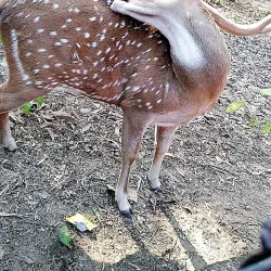 Mukutmanipur Lake - Rajkot