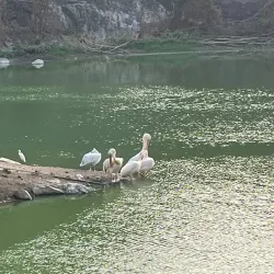 Pradyuman Park - Rajkot