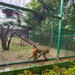 Pradyuman Park - Rajkot