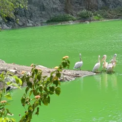 Pradyuman Park - Rajkot