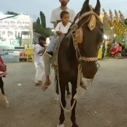 Race Course Ground - Rajkot