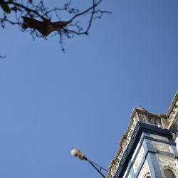 Ranjit Vilas Palace - Rajkot