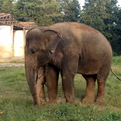 Birsa Zoological Park - Ranchi