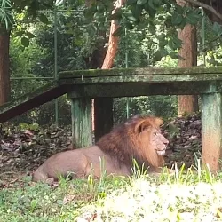 Birsa Zoological Park - Ranchi