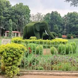Birsa Zoological Park - Ranchi