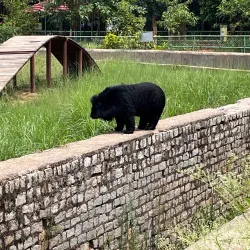 Birsa Zoological Park - Ranchi