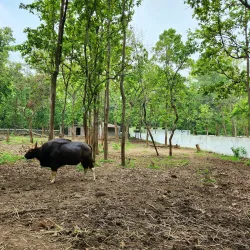 Birsa Zoological Park - Ranchi