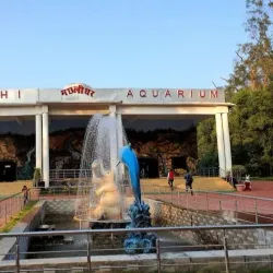 Birsa Zoological Park - Ranchi