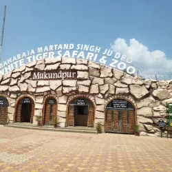 White Tiger Safari - Rewa