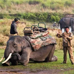 Corbett National Park (nearby) - Rudarpur