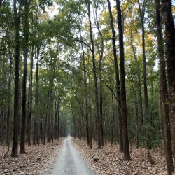 Corbett National Park (nearby) - Rudarpur