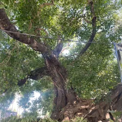 Nanakmatta Sahib (nearby) - Rudarpur