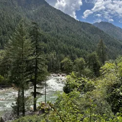 Local Village Walks - Saham