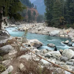 Local Village Walks - Saham