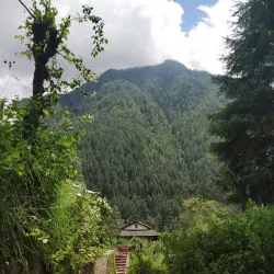 Local Village Walks - Saham