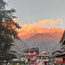 Local Village Walks - Saham