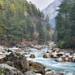 Local Village Walks - Saham