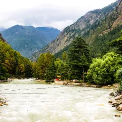 Local Village Walks - Saham