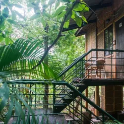 Nature Trails - Saham