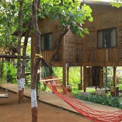 Nature Trails - Saham