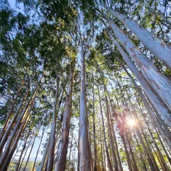 Nearby Water Bodies - Saham